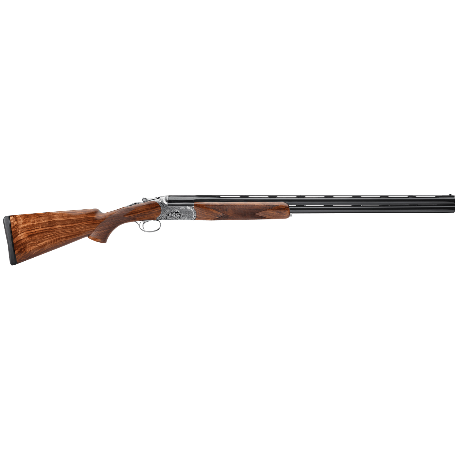 ellipse_evo_sporting.png